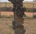 OK, Grove, Olympus Cemetery, Headstone Symbols and Meanings, Tree Trunk