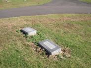OK, Grove, Olympus Cemetery, Family Plot, Newburn, Lois A.
