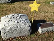 OK, Grove, Headstone Symbols and Meanings, P.E.O. Star