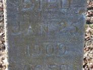 OK, Grove, Buzzard Cemetery, Wynn, Sarah Headstone (Closeup)