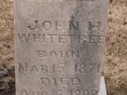 OK, Grove, Buzzard Cemetery, Whitetree, John H. Headstone