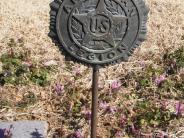 OK, Grove, Olympus Cemetery, Perry, William Elias American Legion