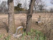 OK, Grove, Olympus Cemetery, Watson, Infant Daughter Plot