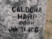 OK, Grove, Olympus Cemetery, Headstone Close Up, Harp, Caldona 