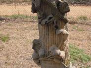 OK, Grove, Olympus Cemetery, Woodall, John Headstone (View 2)