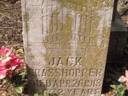 OK, Grove, Olympus Cemetery, Grasshopper, Jack Headstone (Close Up)