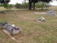 OK, Grove, Olympus Cemetery, Watson Family Plot