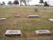 OK, Grove, Olympus Cemetery, Holt Family Plot (Section 3)