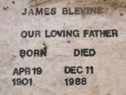 OK, Grove, Olympus Cemetery, Blevins, James Headstone (Close Up)