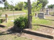 OK, Grove, Olympus Cemetery, Ramsey, Alex & Mary R. Family Plot