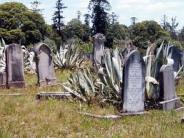 OK, Grove, Headstone Symbols and Meanings, Agave Plant