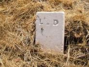 OK, Grove, Olympus Cemetery, Doherty, Lieuvenia Footstone