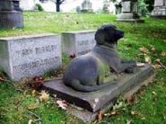 OK, Grove, Headstone Symbols and Meanings, View 3, Dog 