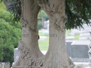 OK, Grove, Headstone Symbols and Meanings, Tree, Stumps or Trunks