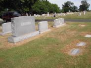 OK, Grove, Olympus Cemetery, Worley Family Plot (Section 8 -View 2)