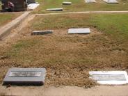 OK, Grove, Olympus Cemetery, Butler & McAllister Family Plot (Section 8)