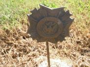 OK, Grove, Olympus Cemetery, VFW Emblem, Luttrell, Lewis Raymond