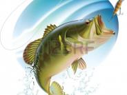 oklahoma, grove, grand lake, largemouth bass, anglers, fishing
