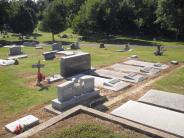 OK, Grove, Olympus Cemetery, Family Plot, Buzzard, Dennis & Faye