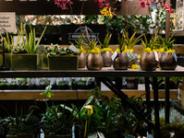 oklahoma, grove, grand lake, chamber, home, garden, show