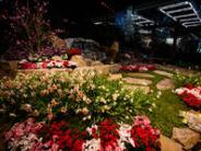 oklahoma, grove, grand lake, chamber, home, garden, show