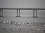 oklahoma, grove, grand lake, sailboat bridge