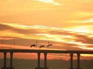 oklahoma, grove, grand lake, sailboat bridge