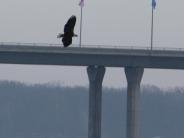 oklahoma, grove, grand lake, sailboat bridge