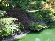 oklahoma, grove, Lendonwood Gardens, botanical gardens