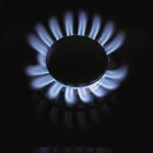 Natural Gas stove burner