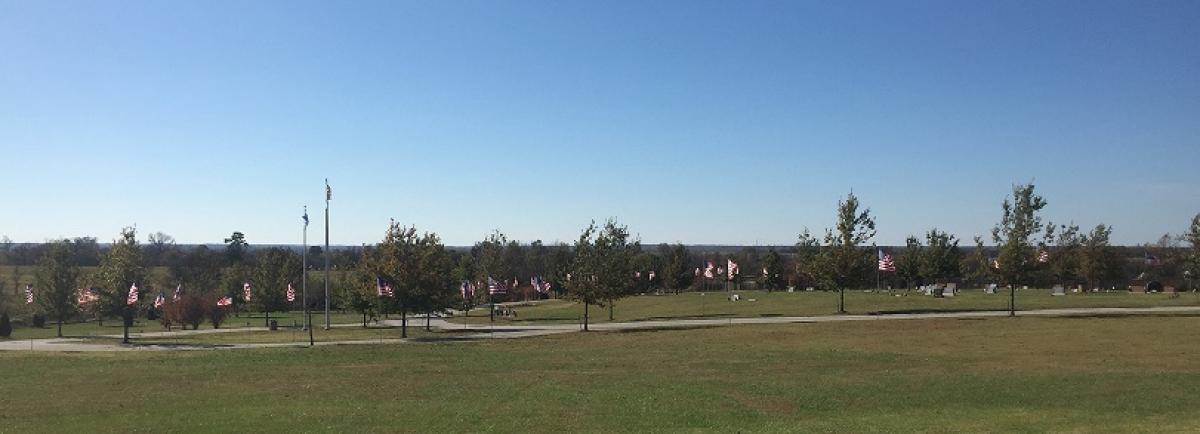 Olympus Cemetery Veterans Day 2015