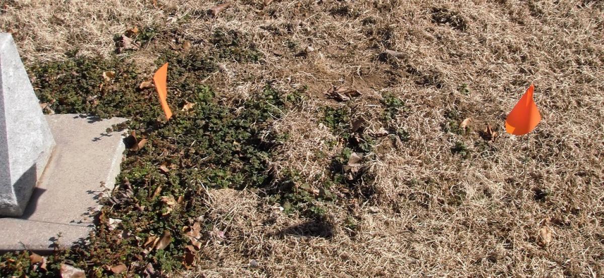 OK, Grove, Buzzard Cemetery, Unknown, Sec 3-Row 14-Plot 8