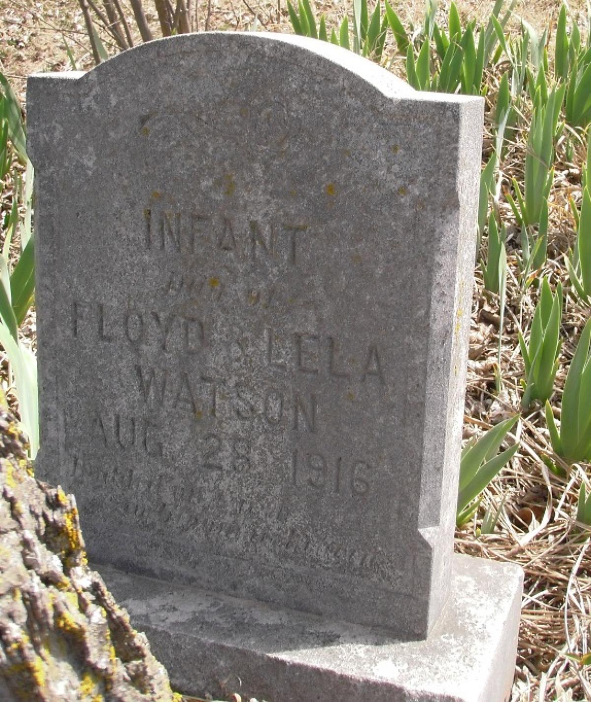 OK, Grove, Olympus Cemetery, Watson, Infant Daughter Headstone