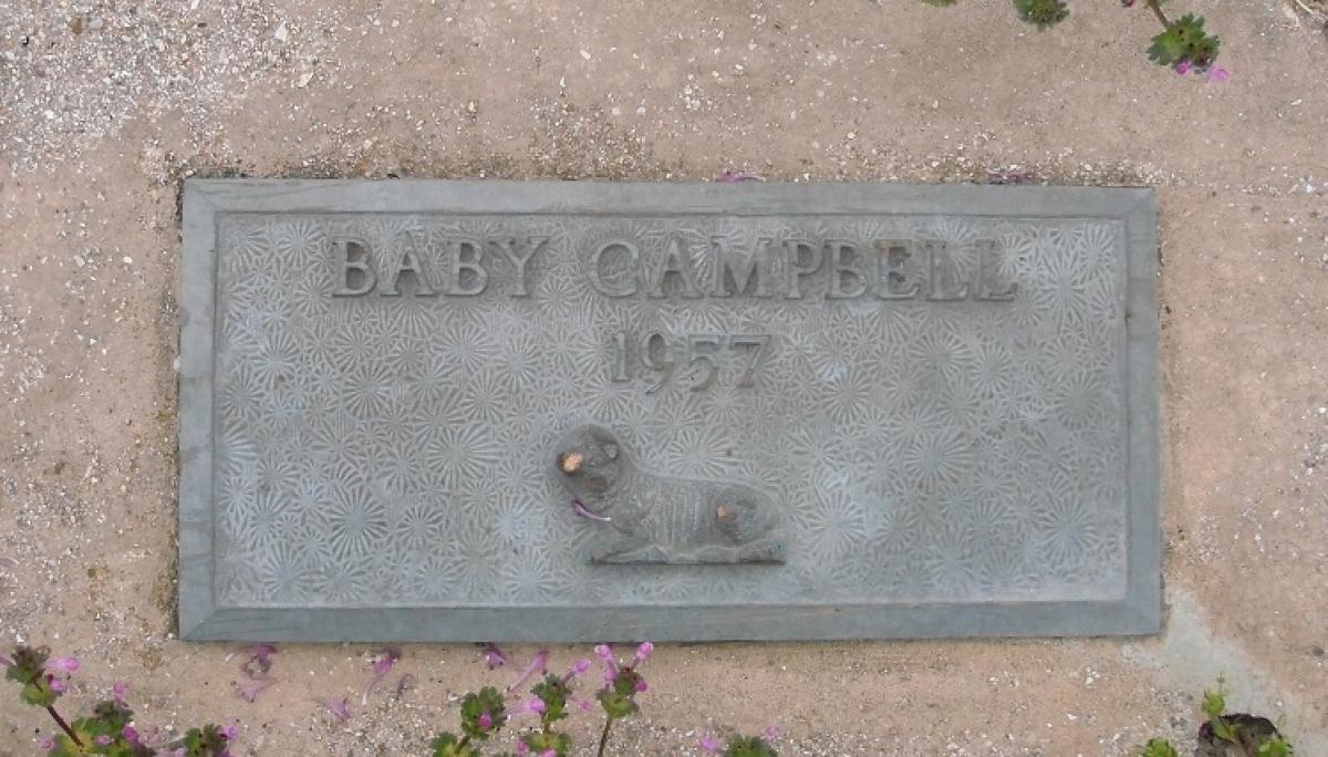 OK, Grove, Olympus Cemetery, Headstone, Campbell, Baby 