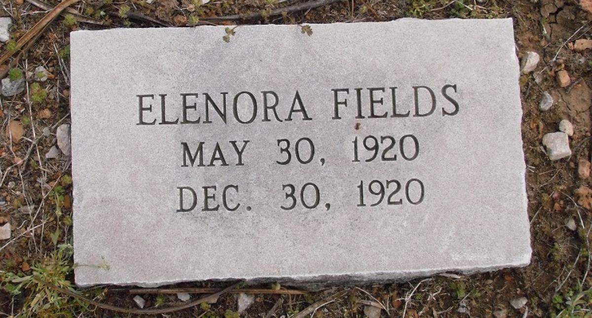 OK, Grove, Olympus Cemetery, Headstone, Fields, Elenora