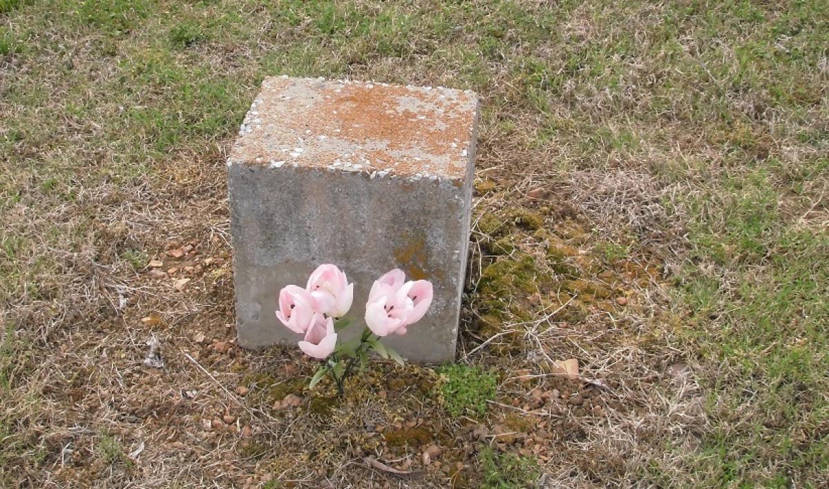 OK, Grove, Olympus Cemetery, Unknown (Section 3 - Row 6 - Lot 14)