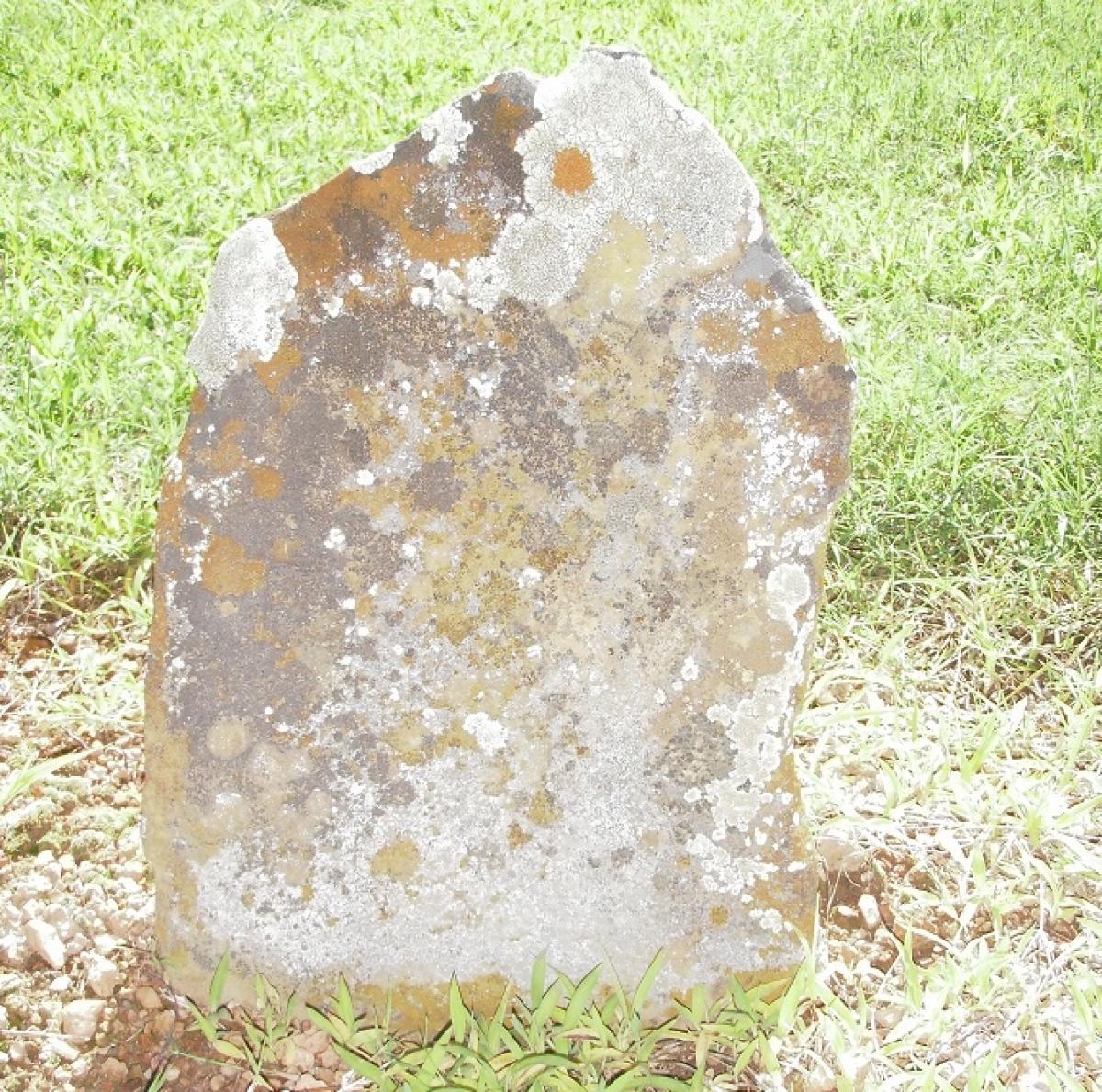 OK, Grove, Olympus Cemetery, Tyner, Eva L. Headstone
