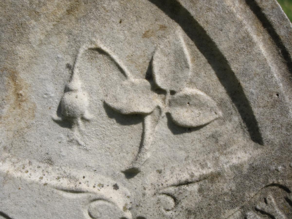 OK, Grove, Headstone Symbols and Meanings, Broken Rose Bud