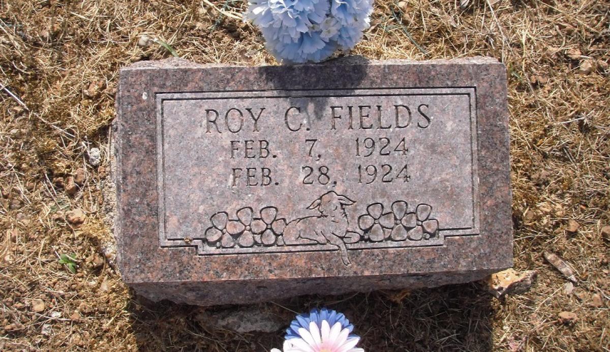 OK, Grove, Olympus Cemetery, Fields, Roy C. Headstone