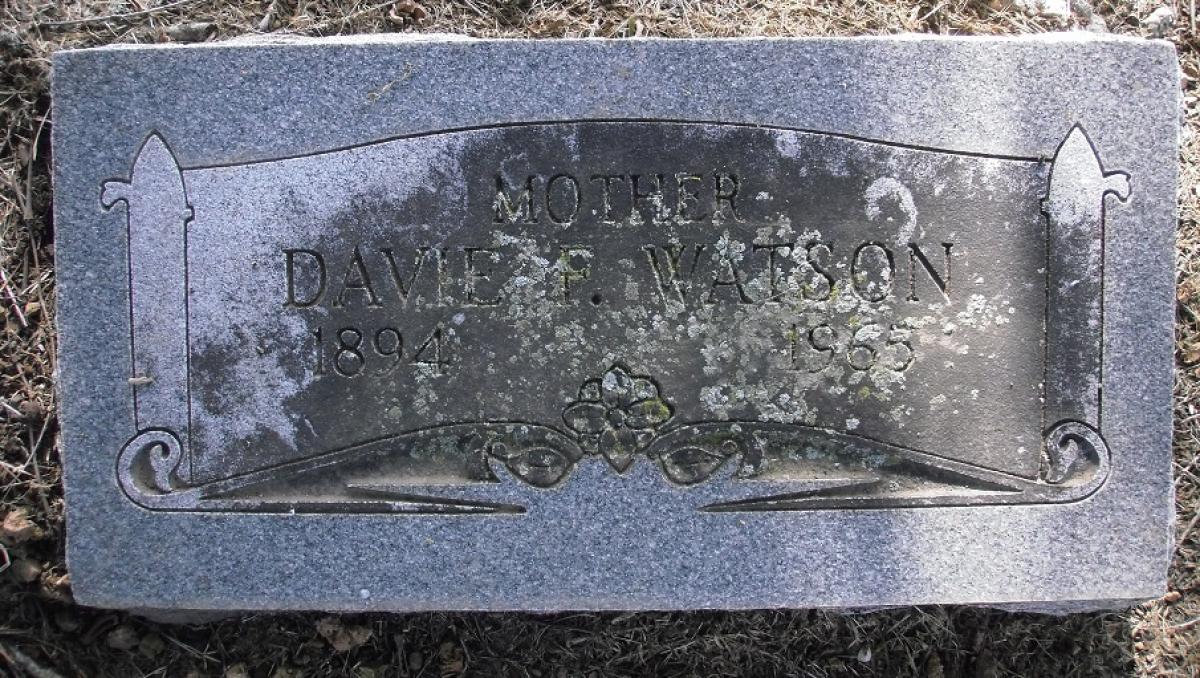 OK, Grove, Olympus Cemetery, Watson, Davie F. Headstone