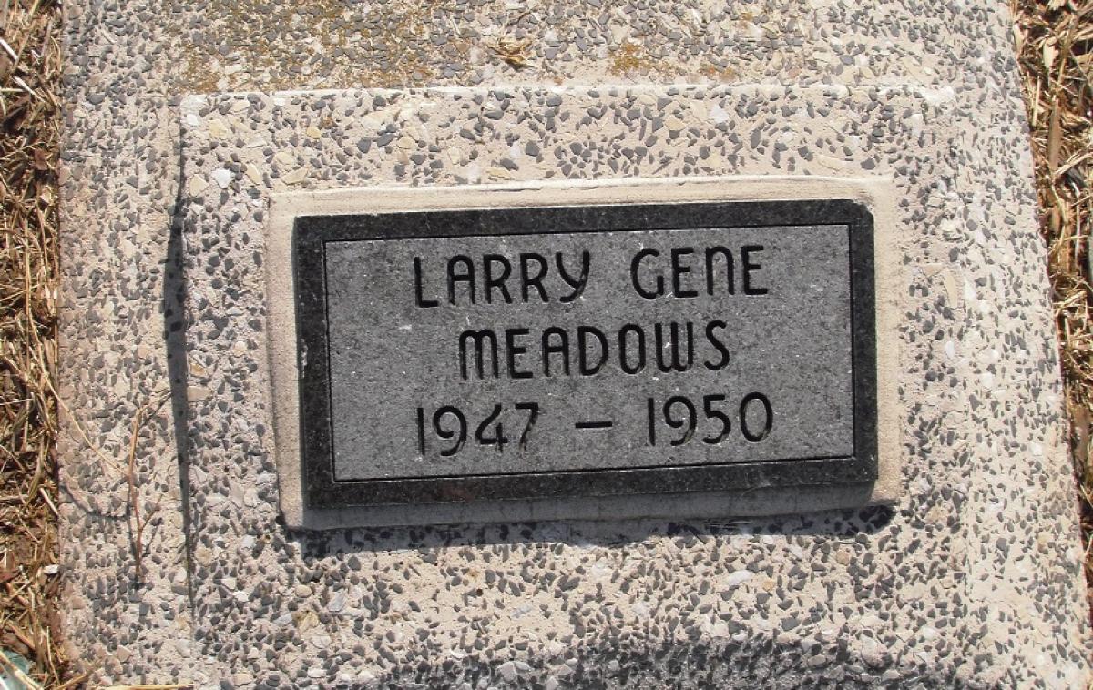 OK, Grove, Olympus Cemetery, Headstone, Meadows, Larry Gene