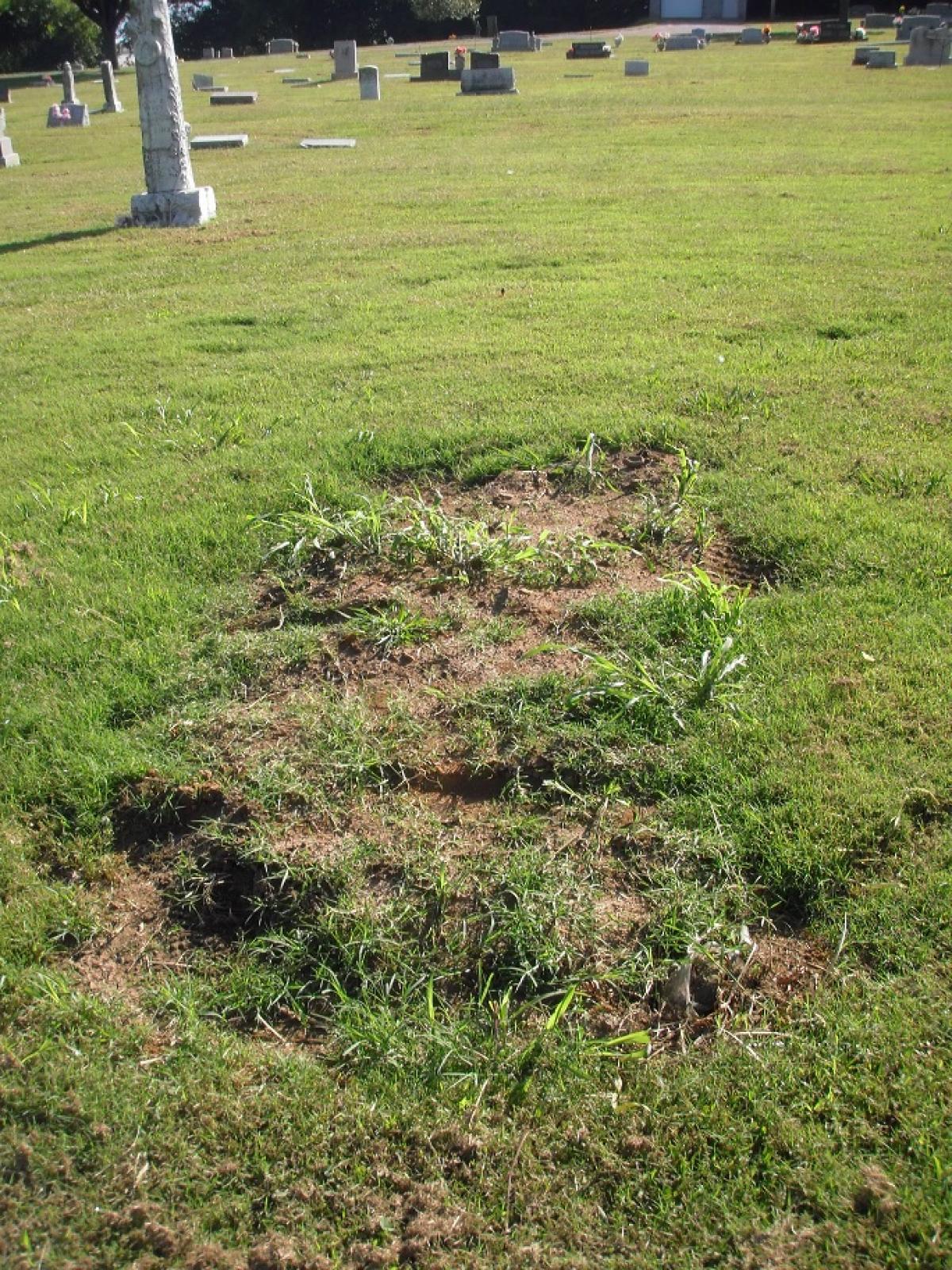 OK, Grove, Buzzard Cemetery, Unknown (Sec2-Row8-Lot10)