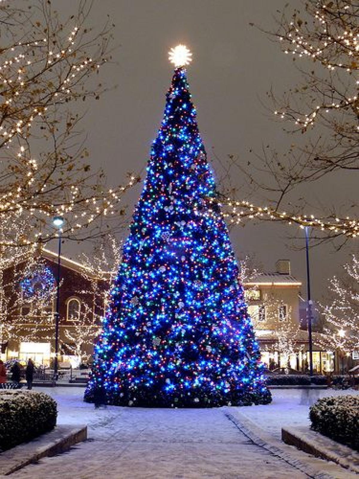 Tree Lighting Ceremony and Open House, Friday Dec. 4 City of Grove