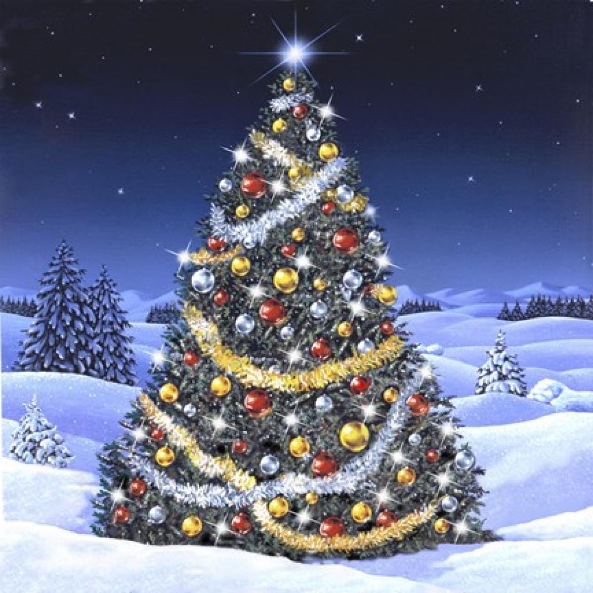 oklahoma, grove, merry christmas
