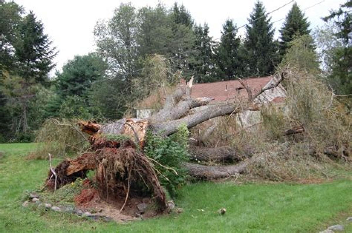 oklahoma, grove, storm damage