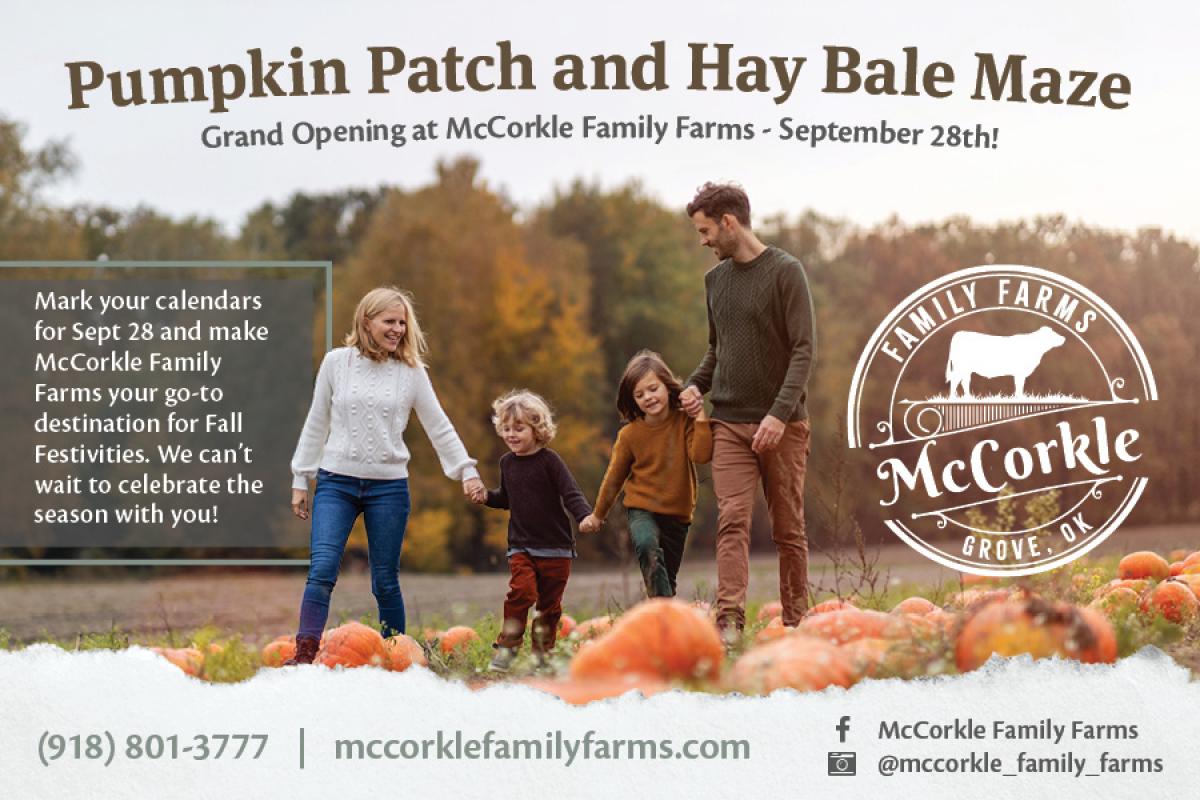 oklahoma, grove, pumpkin patch