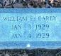 OK, Grove, Buzzard Cemetery, Carey, William F. Headstone
