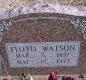 OK, Grove, Buzzard Cemetery, Watson, Floyd Headstone