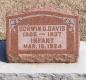 OK, Grove, Olympus Cemetery, Headstone, Davis, Dorwin D. & Infant 