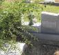 OK, Grove, Olympus Cemetery, Headstone, Dedmon, Paul Dolphus & Loy Lavern (Caudill)